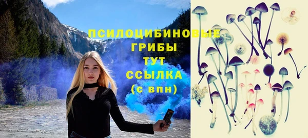 трава Магас