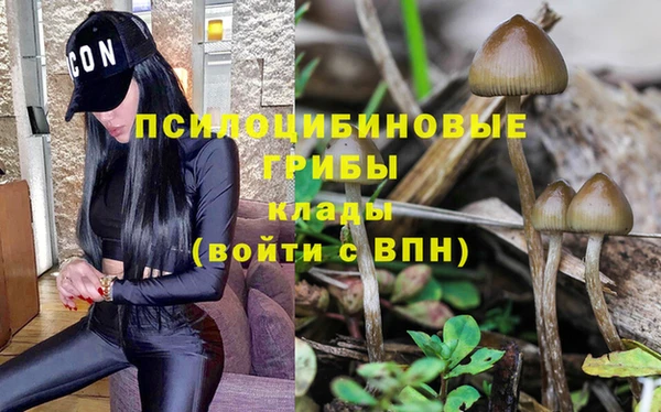 метамфетамин Медногорск