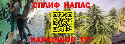 ГАЛЛЮЦИНОГЕННЫЕ ГРИБЫ Балахна