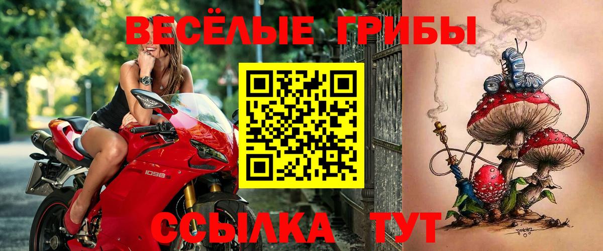 Галлюциногенные грибы MAGIC MUSHROOMS  Пермь 