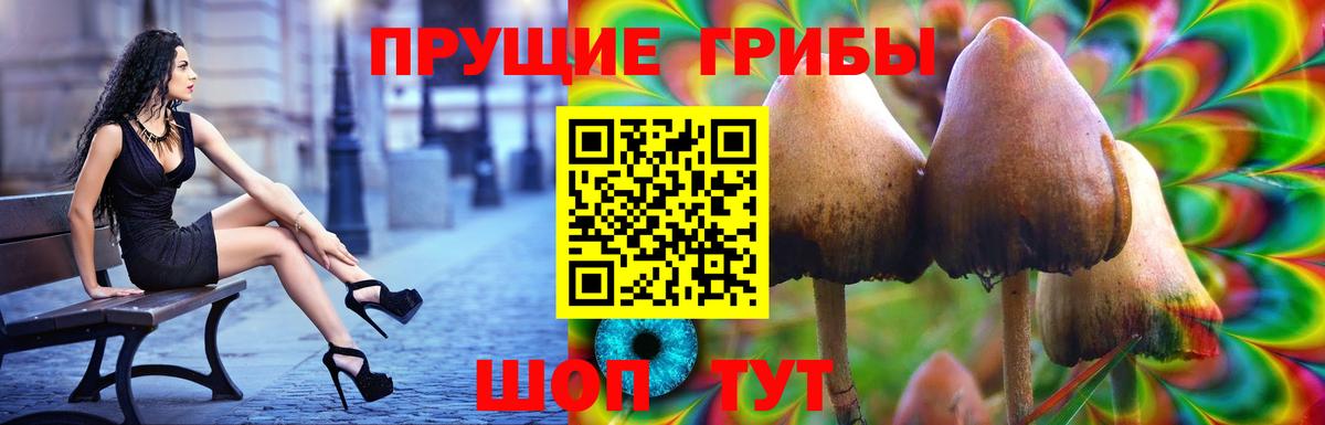 Псилоцибиновые грибы ЛСД  Вход с VPN  Пермь  Галлюциногенные грибы Psilocybe 